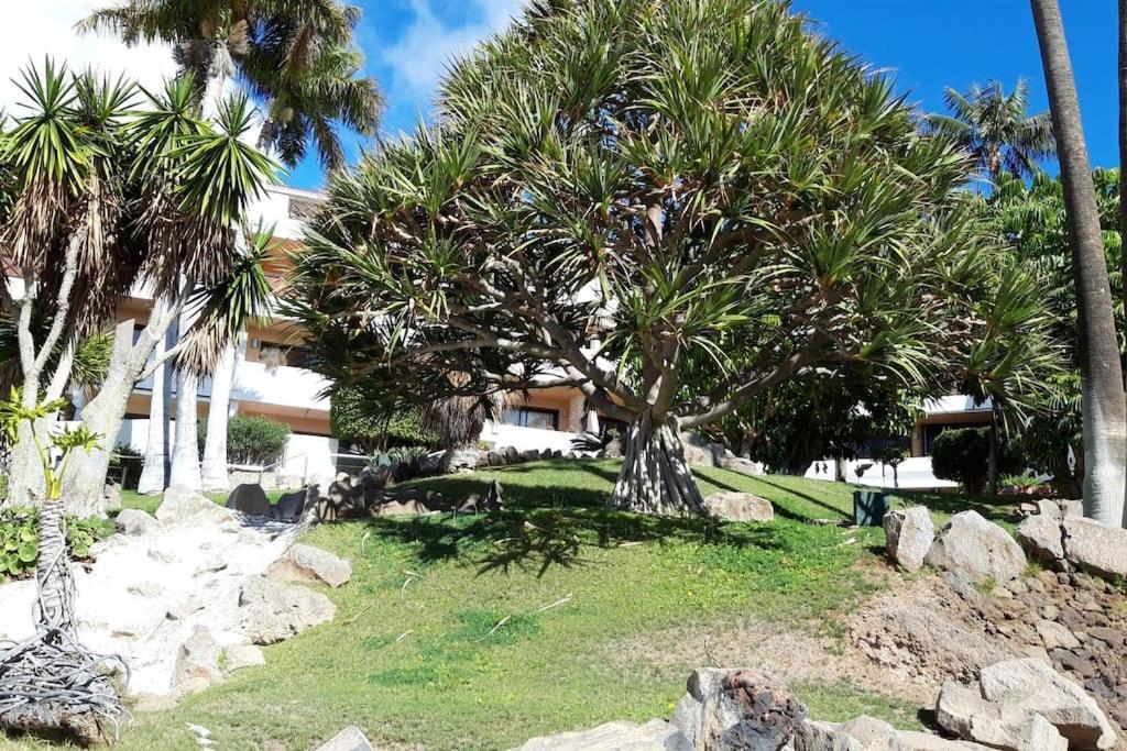 Apartment With Pool And Gardens Near The Coast San Miguel de Abona Kültér fotó