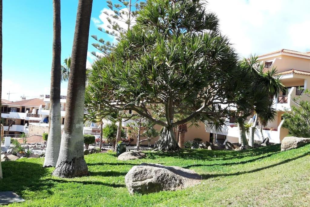 Apartment With Pool And Gardens Near The Coast San Miguel de Abona Kültér fotó